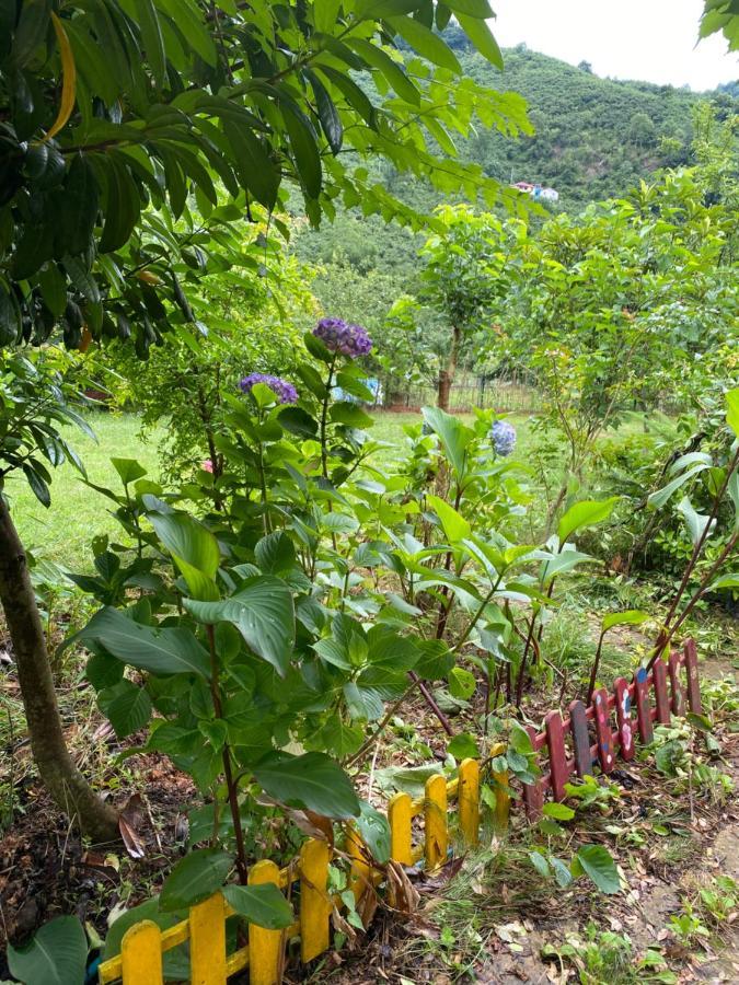 Doga Villa Yomra ภายนอก รูปภาพ